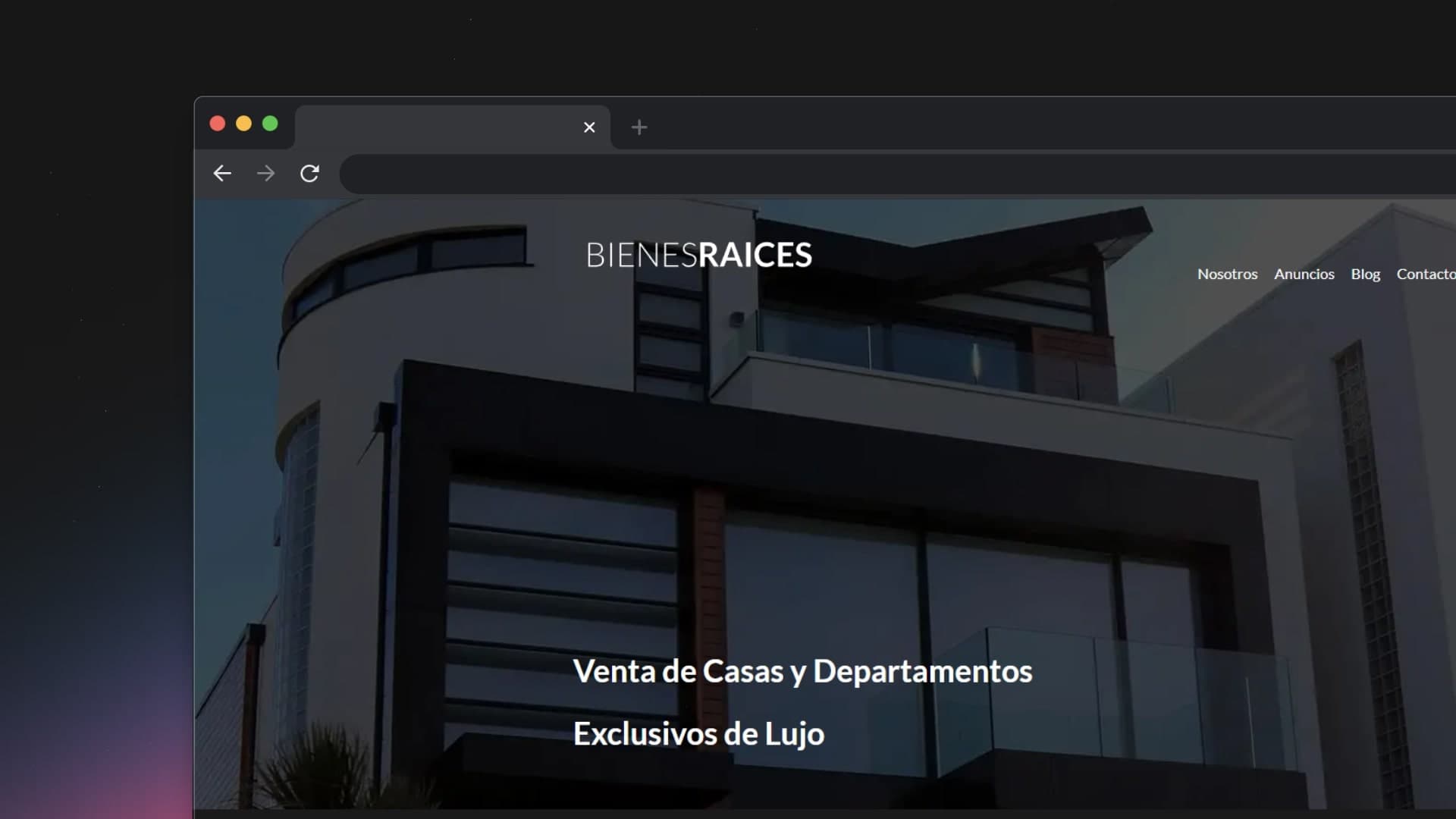 Captura de pantalla de la imagen /images/proyects/jpg/bienesraices.jpg